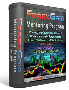 Forex Grid Mentoring Program