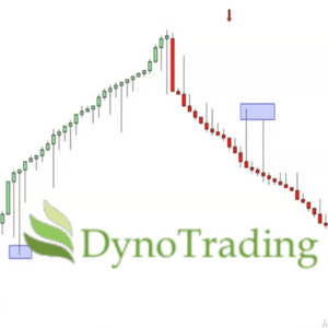 DynoBars Pro for NinjaTrader