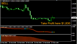 Forex Trade Magic