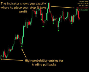 Pullback Solution